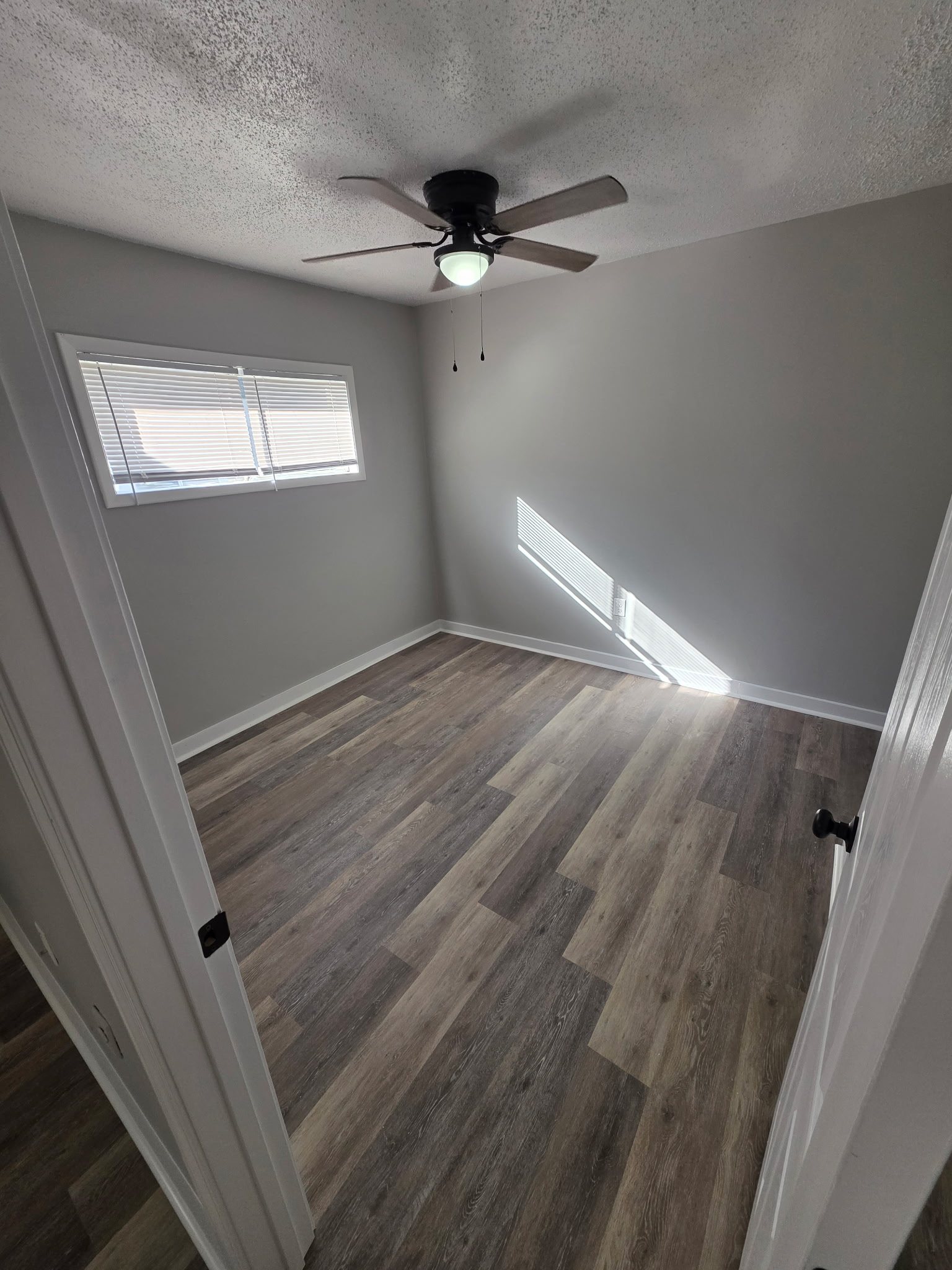 1 Bedroom natural light