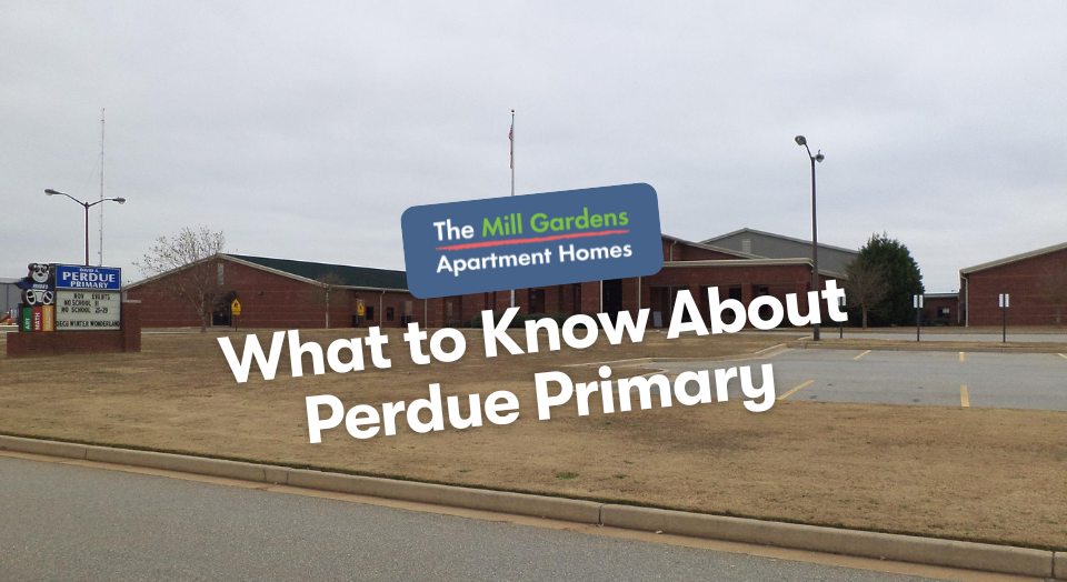 Perdue Primary School Warner Robins Georgia